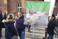 Demonstration des Hessischen Verbandes für Schafzucht- und Haltung e. V. am 15.01.2020 in Wiesbaden