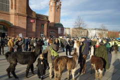 Demonstration des Hessischen Verbandes für Schafzucht- und Haltung e. V. am 15.01.2020 in Wiesbaden