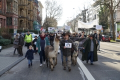 Demonstration des Hessischen Verbandes für Schafzucht- und Haltung e. V. am 15.01.2020 in Wiesbaden