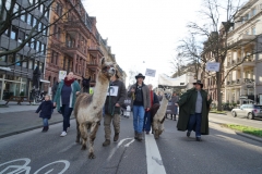 Demonstration des Hessischen Verbandes für Schafzucht- und Haltung e. V. am 15.01.2020 in Wiesbaden