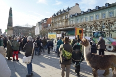 Demonstration des Hessischen Verbandes für Schafzucht- und Haltung e. V. am 15.01.2020 in Wiesbaden