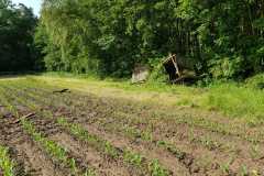 8924a736-0739-4674-8990-f07e3da87bf7