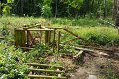 bd2428c1-9caa-46b7-94e1-fc0e437d54b2