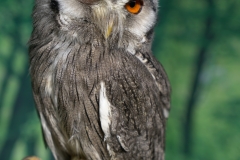 Messe "Jagen Fischen Offroad" vom 22.03.-24.03.2019 in Alsfeld