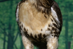 Messe "Jagen Fischen Offroad" vom 22.03.-24.03.2019 in Alsfeld