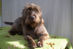 Messe "Jagen Fischen Offroad" vom 22.03.-24.03.2019 in Alsfeld