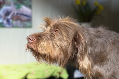 Messe "Jagen Fischen Offroad" vom 22.03.-24.03.2019 in Alsfeld