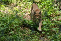 Foto: Christiane Behrens