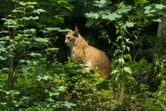 Foto: Christiane Behrens