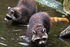 Foto: Christiane Behrens