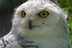 Foto: Cord Worthmann