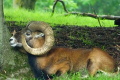 Foto: Cord Worthmann