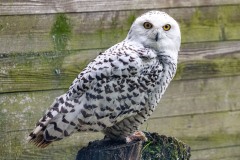 Foto: Sabine Baumunk