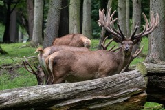 Foto: Sabine Baumunk