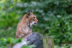 Foto: Siegfried Brück/Leica Akademie