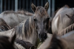 Foto: Siegfried Brück/Leica Akademie