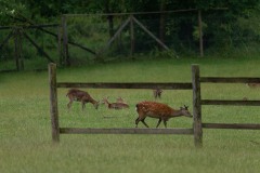 Foto: Siegfried Brück/Leica Akademie