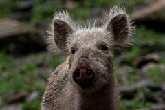 Foto: Siegfried Brück/Leica Akademie