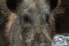 Foto: Anne Schönfeld