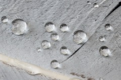 TIERFOTOGRAFIE-GRILLEN-IM-WILDPARK-KNUeLL-006