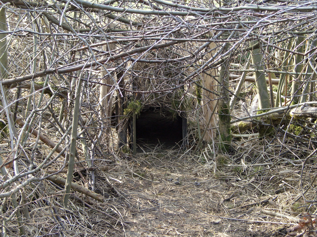 Lebendfalle Fallenjagd