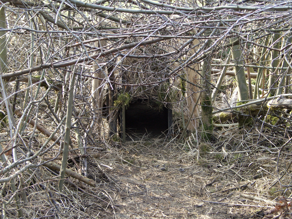 Lebendfalle Fallenjagd