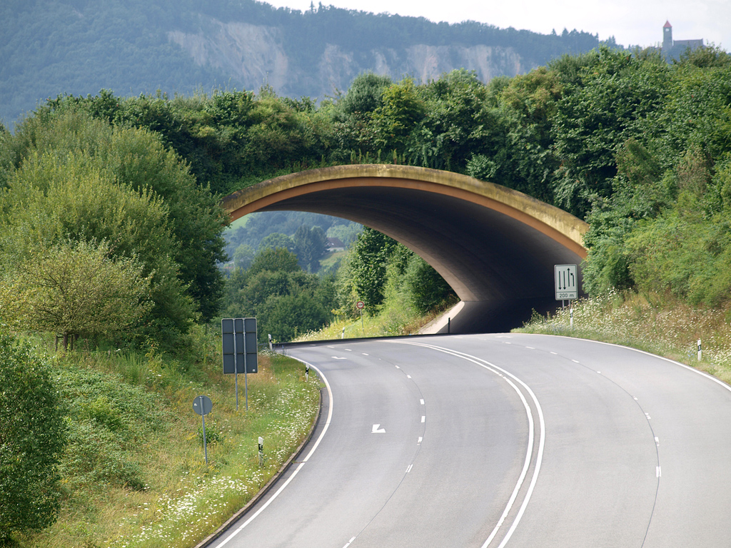 Bild Grünbrücke B 38 Kreis Bergstrasse