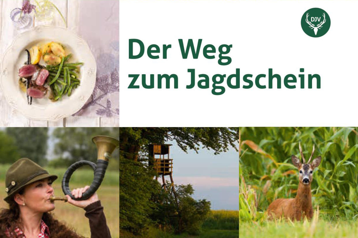 Der Weg zum Jagdschein