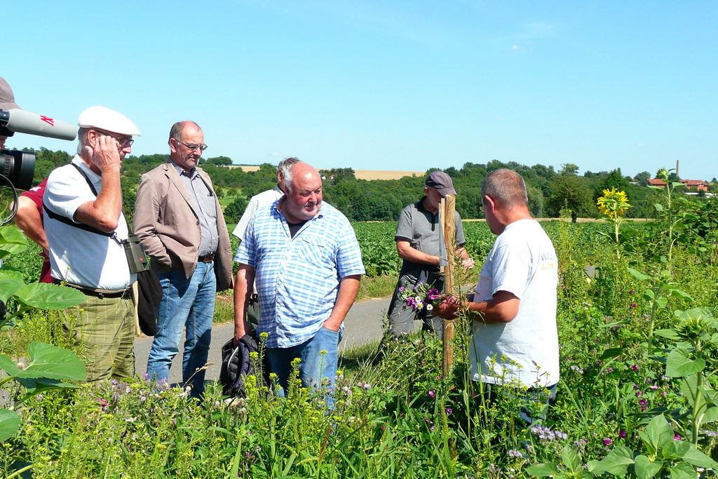 Blühstreifen der Hegegemeinschaft Wiesbaden-Ost (HGO)