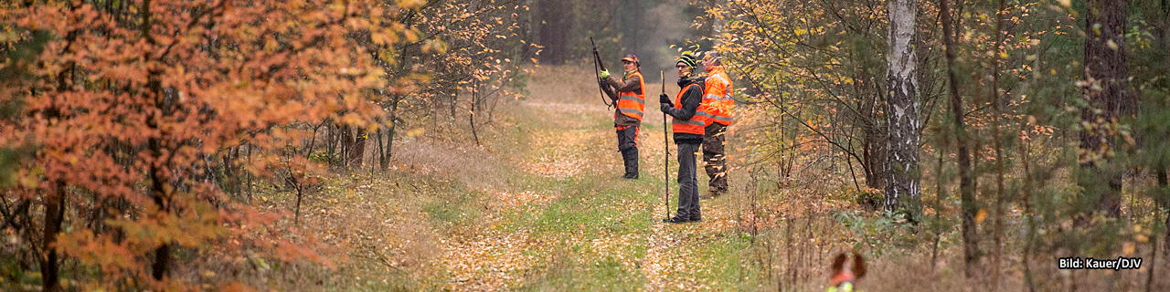 Landesjagdverband Hessen e.V.