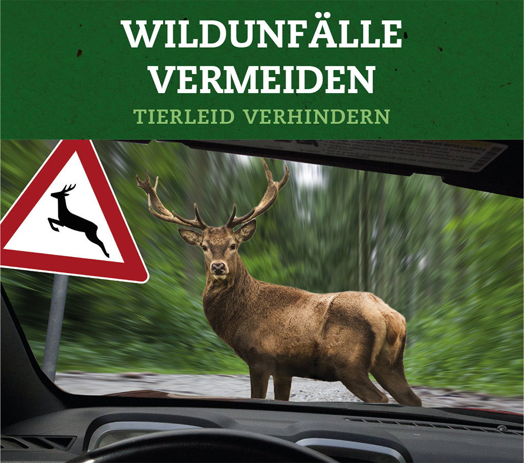 Wildunfall Präventionstag Gießen 2019