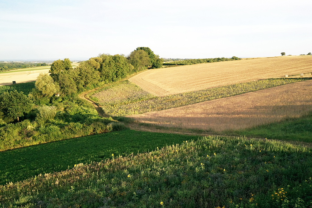 Die Vernetzung von Biotopstrukturen mit Blühstreifen, Heckenstreifen und Feldholzinseln bietet ideale Deckung und Nahrung für die heimische Tierwelt. Luftaufnahme: Markus Stifter