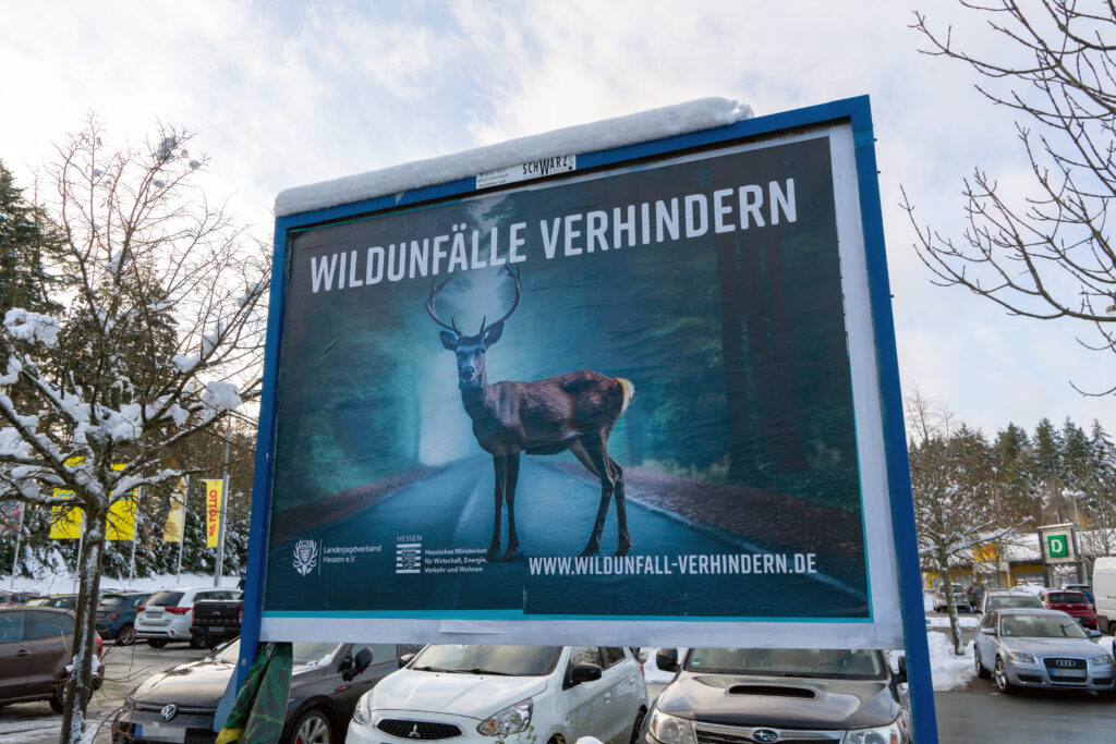 Ab dem 28. November 2023 waren die Großplakate in vielen hessischen Landkreisen, wie hier im Rheingau-Taunus-Kreis in der direkten Umgebung zur B 260, zu sehen. Die Plakatstandorte rund um die Wildunfallschwerpunkte wurden so ausgewählt, damit diese einerseits in direkter Nähe zu sehen waren aber auch möglichst viele Autofahrer erreichen, wie hier an einem Einkaufszentrum. Foto: Markus Stifter