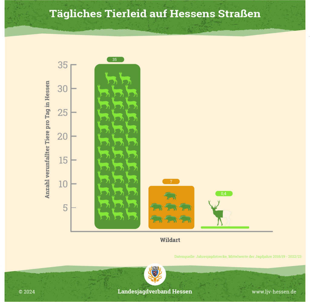 Tägliches Tierleid auf Hessens Straßen. Pressegrafik: Dr. Nadine Stöveken/LJV Hessen 