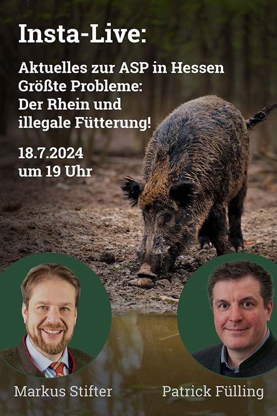 Instagram Live-Video LJV-Pressesprecher Markus Stifter und Patrick Fülling (1. Vorsitzender des Kreisjägervereins Groß-Gerau) im Interview zum aktuellen ASP-Seuchengeschehen in Südhessen. Quelle: LJV Hessen