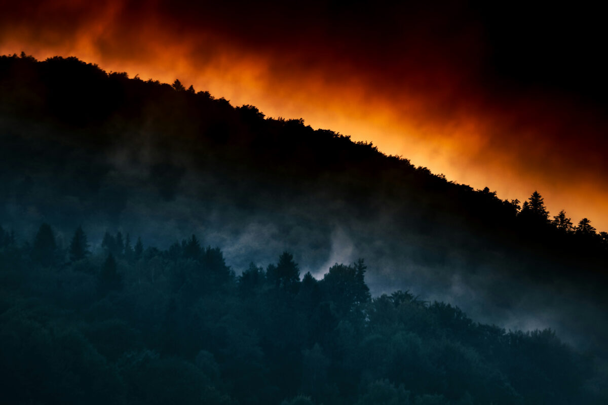 Heißer Katalysator, Funkenflug oder Zigarette können schnell einen Brand verursachen. Quelle: Marek Piwnicki/Unsplash/DJV