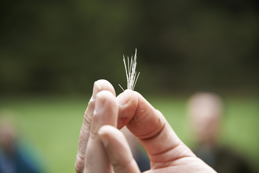 Seminar: „Nachsuche auf Schalenwild, Beurteilung von Anschüssen, Organisation von Nachsuchen“, Foto: Markus Stifter