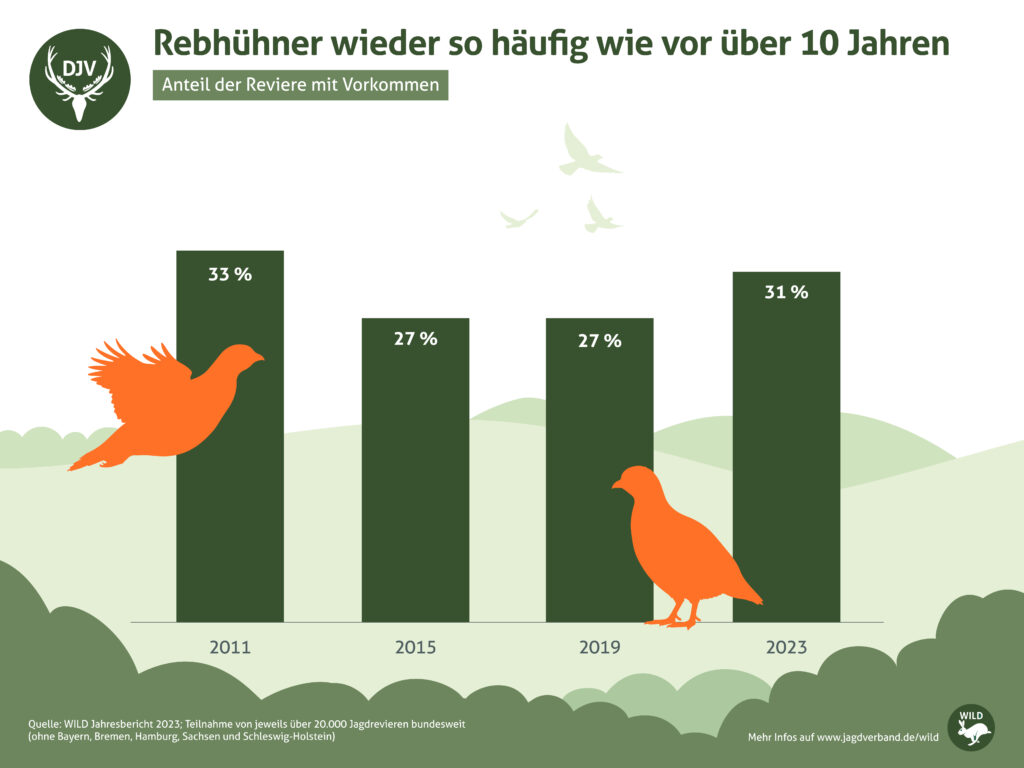 Der Rebhuhnbestand erholt sich langsam. Quelle: DJV